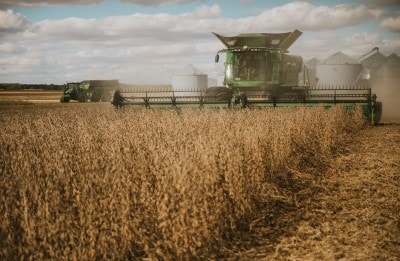 combine harvesting soybeans